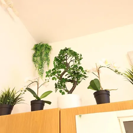 Downtown - Im Herzen Von & Komfortable Boxspringbetten * Ulm