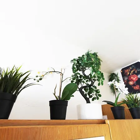 Hotel Downtown - Im Herzen Von & Komfortable Boxspringbetten *