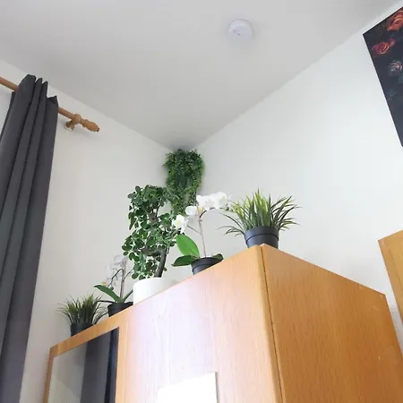 Downtown - Im Herzen Von & Komfortable Boxspringbetten Отель Ульм