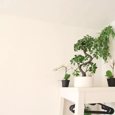 Downtown - Im Herzen Von & Komfortable Boxspringbetten *